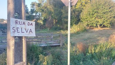 Atenção, está a entrar na “Rua da Selva” (Galeria)