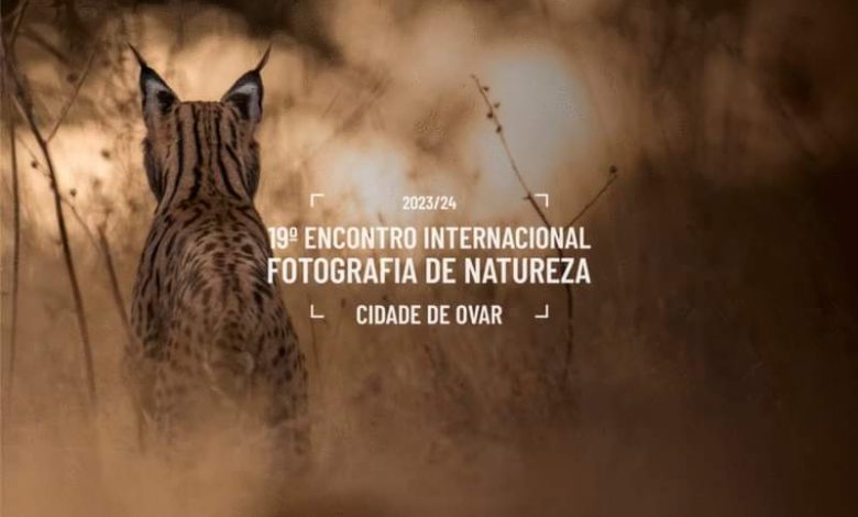 Concurso de Fotografia ‘Ambiente Imagens Dispersas 2023/24″: Como participar? Concurso de Fotografia ‘Ambiente Imagens Dispersas 2023/24″: Como participar?
