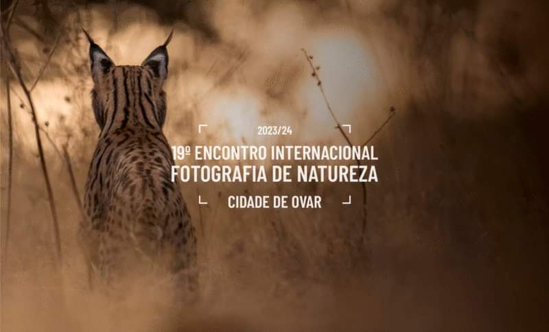 Os melhores fotógrafos de natureza reunidos em encontro internacional