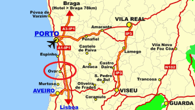 A Ponte e a Porta – Por Martim Guimarães da Costa