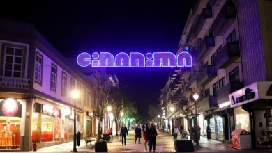 Festival Cinanima regressa a Espinho de 13 a 19 de novembro
