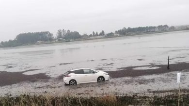 Carro despistou-se e foi parar à Ria