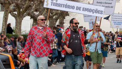 “Pombas” dos Pinguins conquistam público e júri