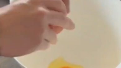 IL: Candidato a deputado filma-se a fazer Pão de Ló de Ovar