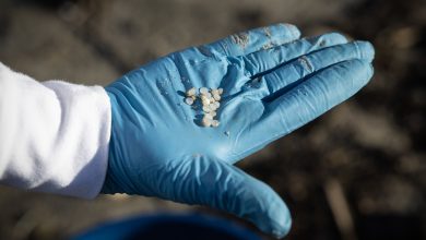Praias de Ovar também estão atentas a ‘pellets’