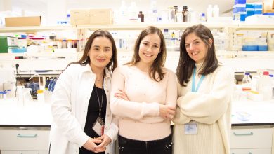 Descoberta abre caminho a novos diagnósticos e tratamentos da Doença de Alzheimer