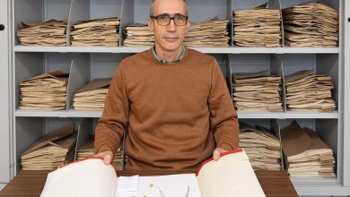 Investigadores da UA descobrem novas espécies de calêndula no norte de África
