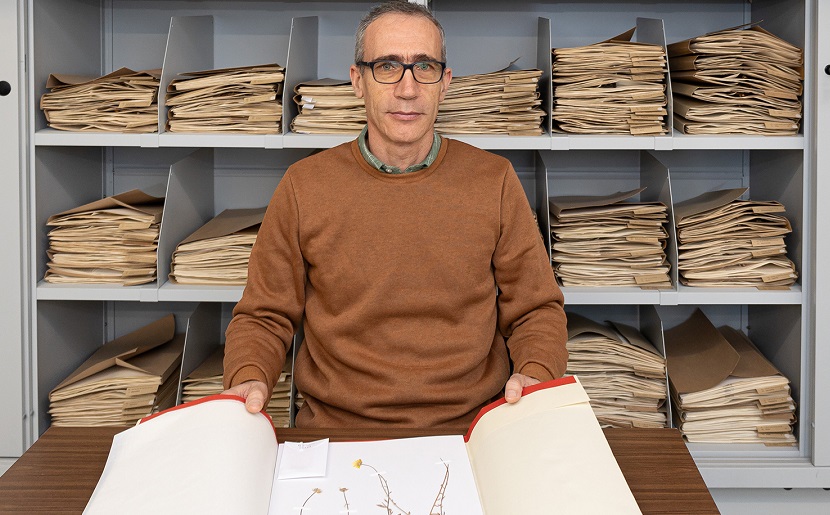 Investigadores da UA descobrem novas espécies de calêndula no norte de África