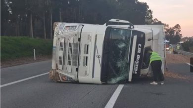 Despiste de camião em Ovar provoca um ferido