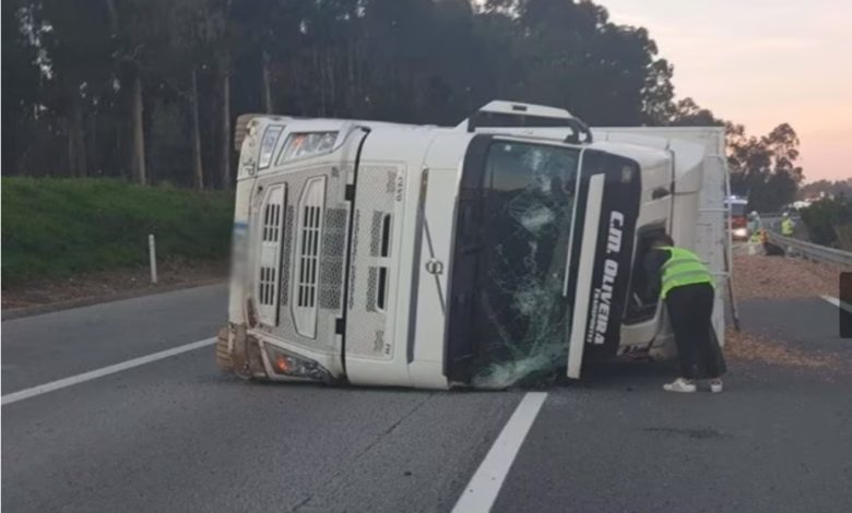 Despiste de camião em Ovar provoca um ferido Despiste de camião em Ovar provoca um ferido