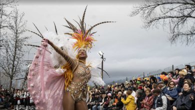 Troféu Nacional de Samba reúne melhores escolas