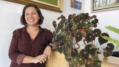 “Importante ter a CDU no Parlamento” – Joana Dias