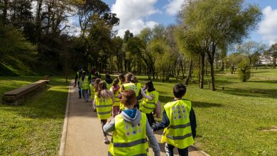 Projeto-piloto incentiva alunos a andar a pé