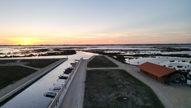 Estação Náutica de Estarreja parceira em projeto europeu de turismo escolar