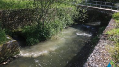 Descargas poluentes continuam a contaminar o Rio Cáster