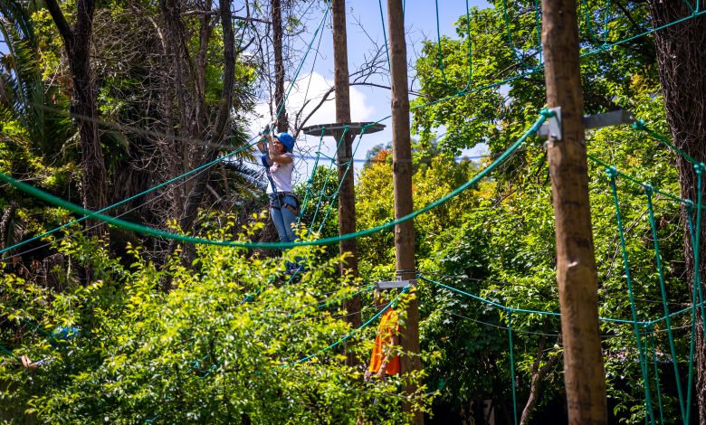 Um salto rumo aos céus do Zoo de Lourosa Um salto rumo aos céus do Zoo de Lourosa