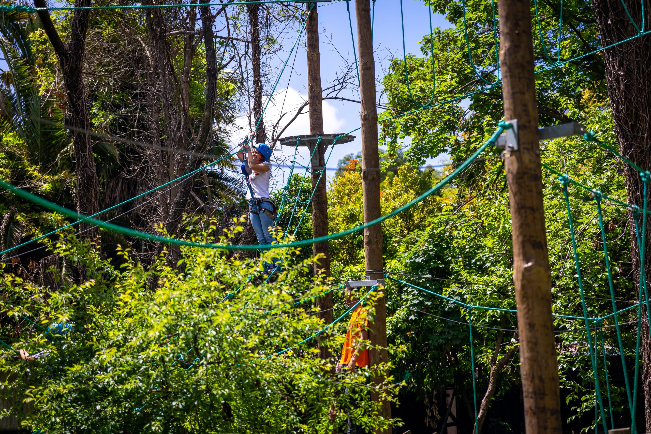 Um salto rumo aos céus do Zoo de Lourosa