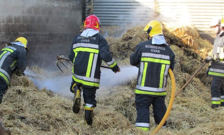 Válega: Mulher ferida e duas viaturas destruídas em incêndio numa garagem Válega: Mulher ferida e duas viaturas destruídas em incêndio numa garagem