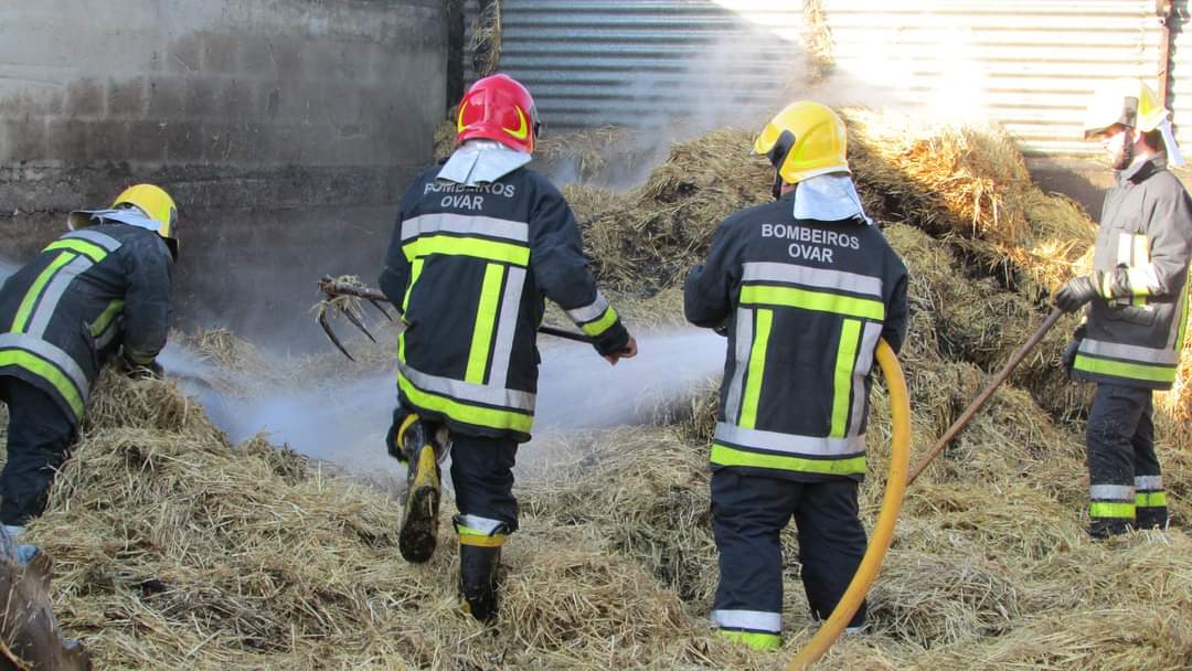 Válega: Mulher ferida e duas viaturas destruídas em incêndio numa garagem
