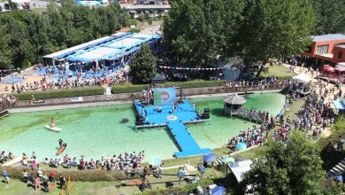 Feira Nacional do Mirtilo está de regresso a Sever do Vouga