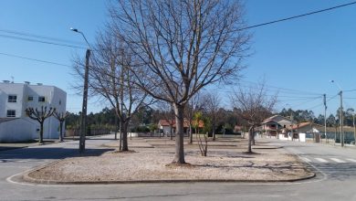 Válega: Trinta habitações acessíveis vão nascer no Lugar do Sargaçal