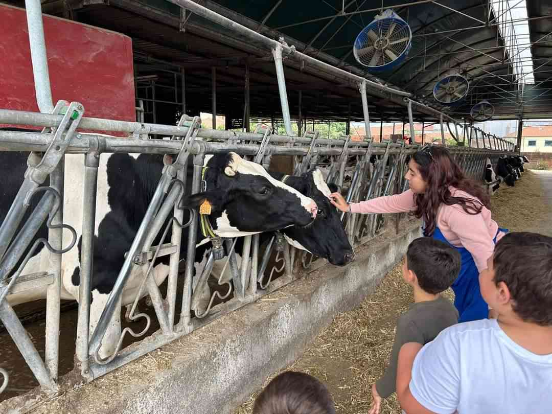Válega: Qualileite mostra o que está para lá das prateleiras dos supermercados
