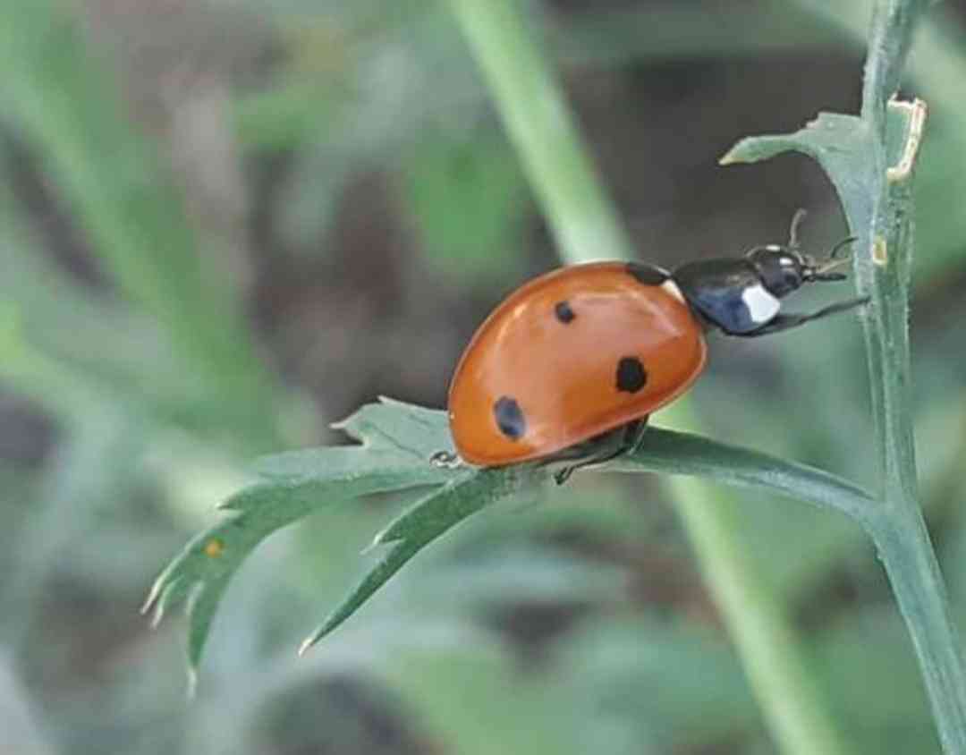 Exposição virtual de fotografia - Por José Lopes