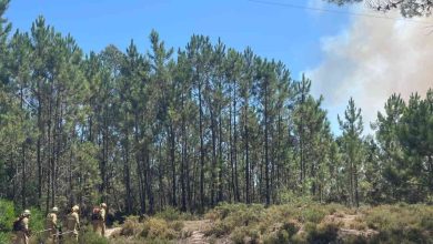 Meios aéreos combatem fogo florestal em Ovar