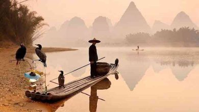 “Viagens” – A exposição de fotografia da AFAVM