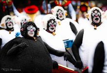 Hippies solidários com “patudos” da APADO