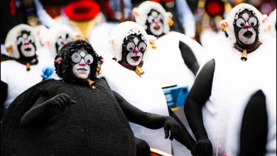 RTP1 aposta em emissão especial dedicada ao Carnaval de Ovar