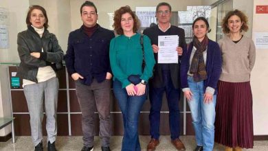 Desafetação do perímetro florestal de Ovar discute-se na Assembleia Municipal