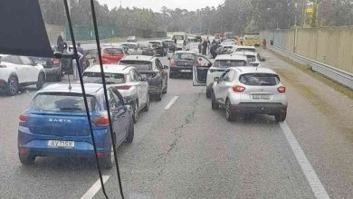 Choque em cadeia na A1 em Estarreja com vários feridos