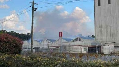 Fogo em armazém da Ovargado