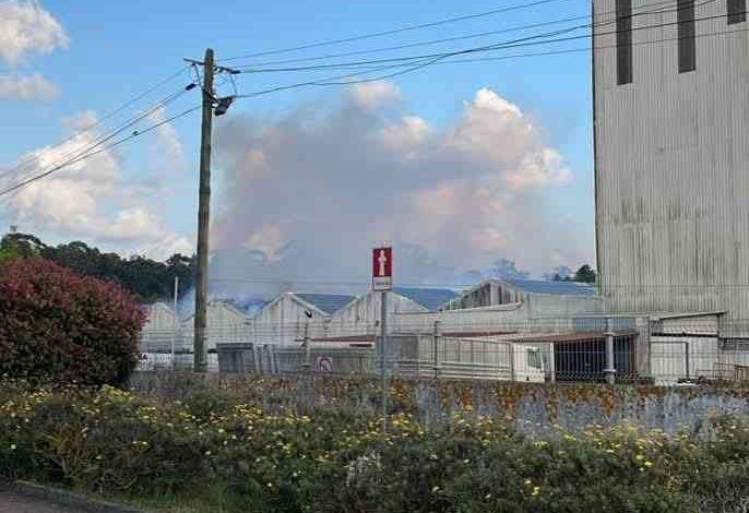 Fogo em armazém da Ovargado Fogo em armazém da Ovargado