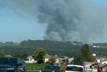 Chamas lavram em mato de Santa Maria da Feira