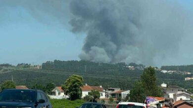 Chamas lavram em mato de Santa Maria da Feira Chamas lavram em mato de Santa Maria da Feira