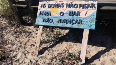 Ecologistas sensibilizam para a protecção das dunas