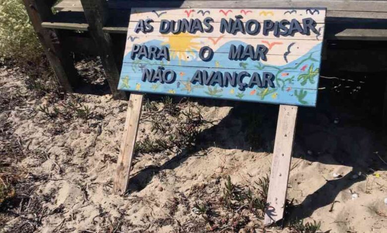 Ecologistas sensibilizam para a protecção das dunas Ecologistas sensibilizam para a protecção das dunas