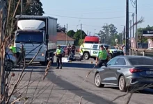 Ciclista de 86 anos morre em choque com camião em Avanca