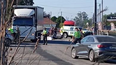 Ciclista de 86 anos morre em choque com camião em Avanca