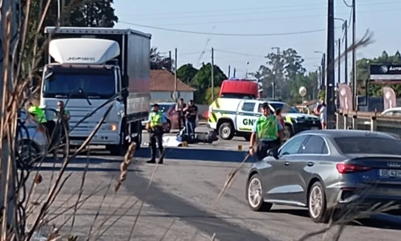 Ciclista de 86 anos morre em choque com camião em Avanca