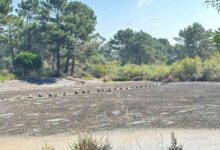 Estado a que chegou o Parque Ambiental do Buçaquinho muito criticado