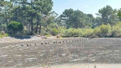 Estado a que chegou o Parque Ambiental do Buçaquinho muito criticado