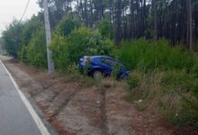 Viatura ligeira despista-se e “mergulha” na floresta