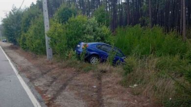 Viatura ligeira despista-se e “mergulha” na floresta Viatura ligeira despista-se e “mergulha” na floresta