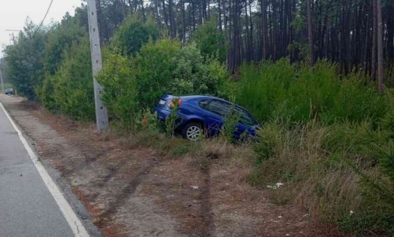 Viatura ligeira sai da estrada e entra na floresta Viatura ligeira sai da estrada e entra na floresta