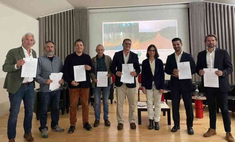 Partidos assinam Pacto pela Defesa do Perímetro Florestal das Dunas de Ovar