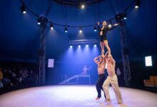 Imaginarius recebe alunos de escolas de circo mundiais Imaginarius recebe alunos de escolas de circo mundiais