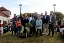 Freguesia de Arada festeja autonomia e o Padroeiro São Martinho
